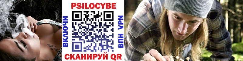Галлюциногенные грибы ЛСД  Камень-на-Оби 