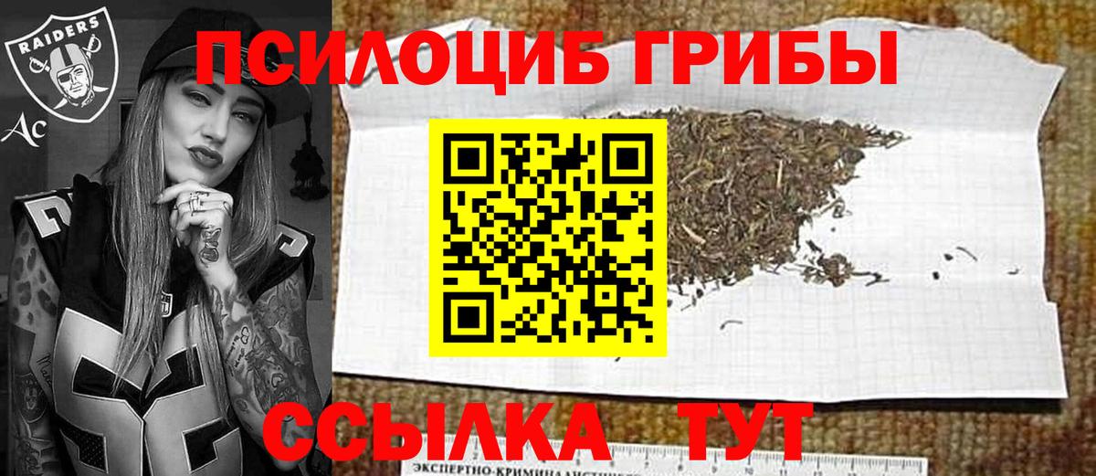 Галлюциногенные грибы Psilocybe  Вход с VPN  Псилоцибиновые грибы GOLDEN TEACHER  купить наркотик  Камень-на-Оби 
