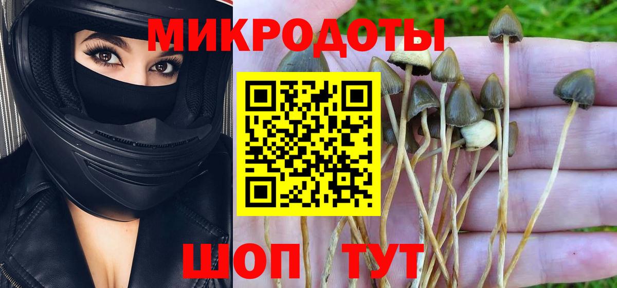 Галлюциногенные грибы ЛСД Камень-на-Оби